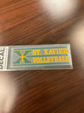 Color Shock Auto Decal